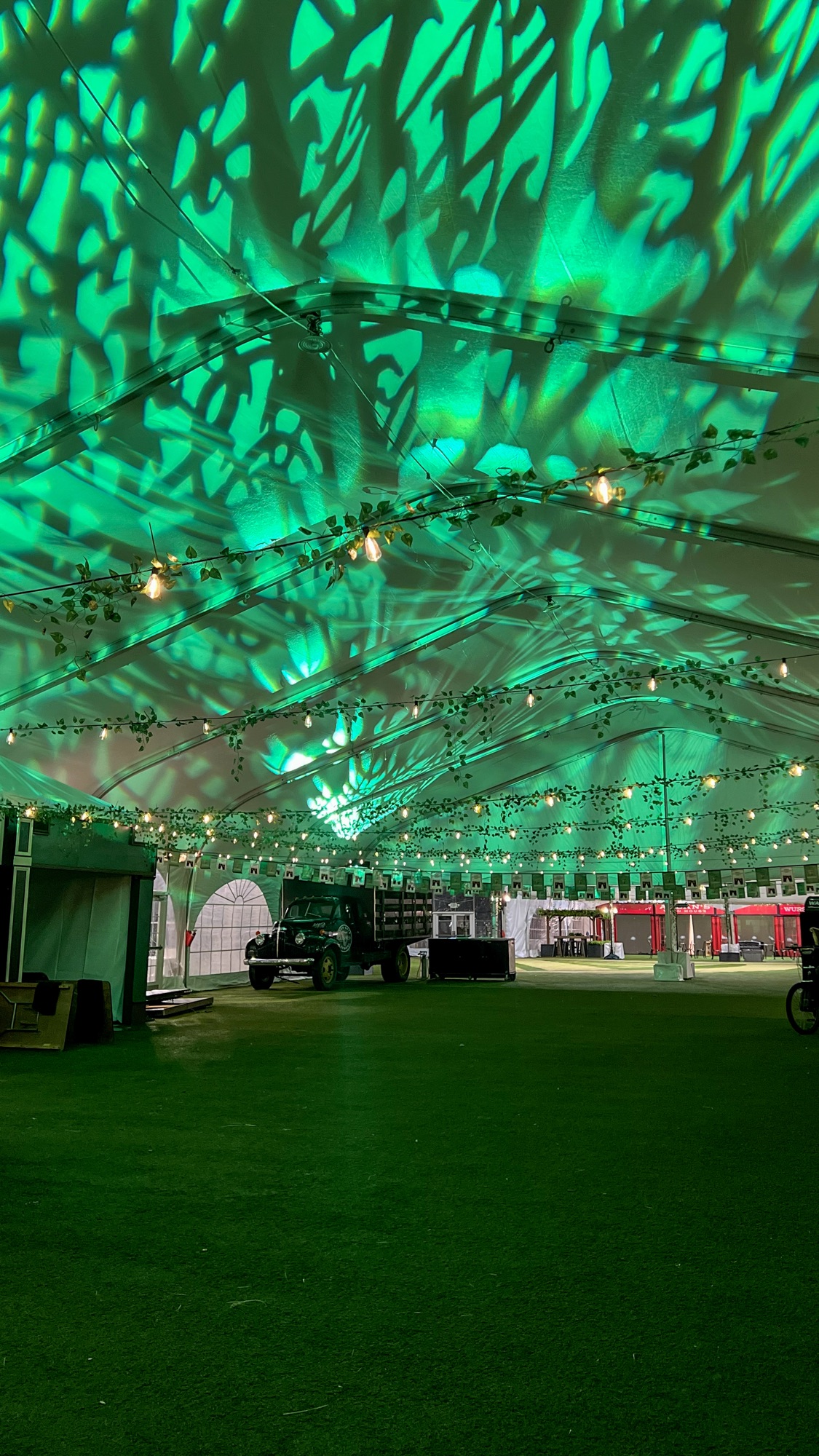 Ring for a Pint greenery wall with string lights