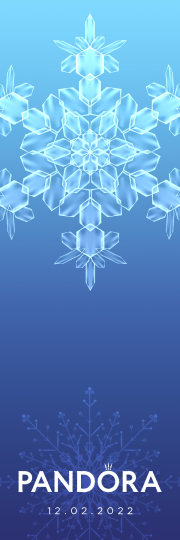 Winter Snowflake